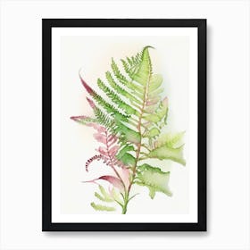 Sensitive Fern Wildflower Watercolour 2 Art Print