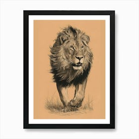 Lion Canvas Print Art Print