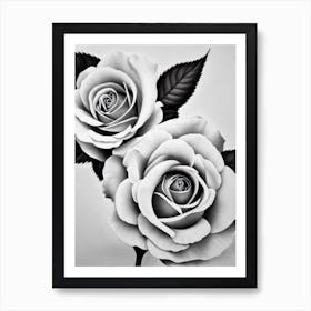 Rose B&W Pencil 3 Flower Art Print