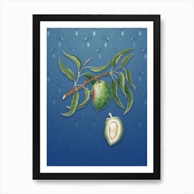 Vintage Almond Botanical on Bahama Blue Pattern n.0213 Art Print