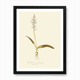 Lily Of The Valley 43 Art Print