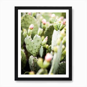 Spring Desert Blooming Cactus Heart Art Print