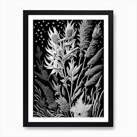 Blazing Star Wildflower Linocut 1 Art Print