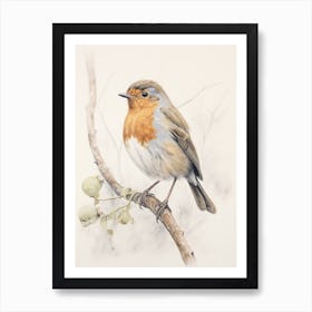 Vintage Bird Drawing European Robin 2 Art Print