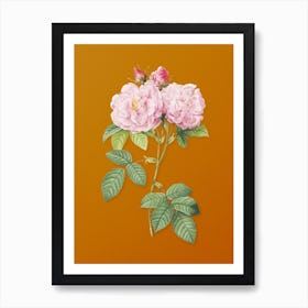 Vintage Italian Damask Rose Botanical on Sunset Orange n.0001 Art Print