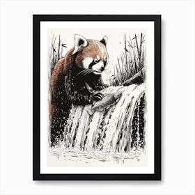 Red Panda Catching Fish In A Waterfall Ink Illustration 1 Art Print