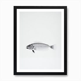 Quillfish Black & White Drawing Art Print