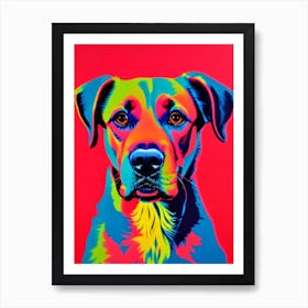Boykin Spaniel Andy Warhol Style Dog Art Print