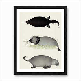 Elephant Seal Vintage Poster Art Print