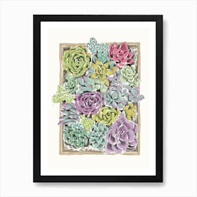 Succulent Tray Art Print