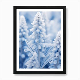 Frosty Botanical Bluebonnet 4 Art Print