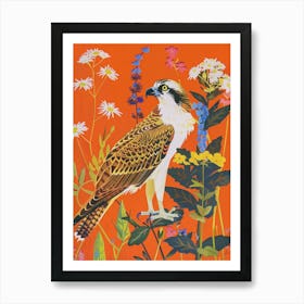 Spring Birds Osprey 1 Art Print