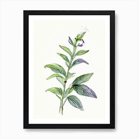 Comfrey Herb Minimalist Watercolour Art Print