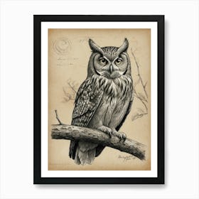 Owl On A Branch Art Print