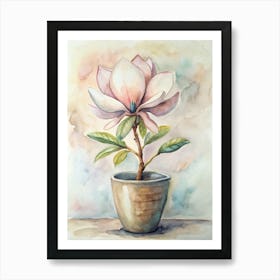 Magnolia 2 Art Print