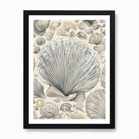 Shells Art Print