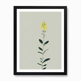 Fringed Loosestrife Wildflower Simplicity Art Print