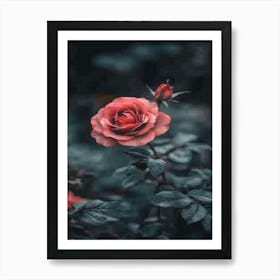 Rose In The Dark 23 Art Print