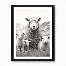 Black & White Illustration Of Highland Sheep With Lamb 3 Art Print