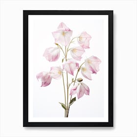 Pressed Wildflower Botanical Art Twinflower 2 Art Print