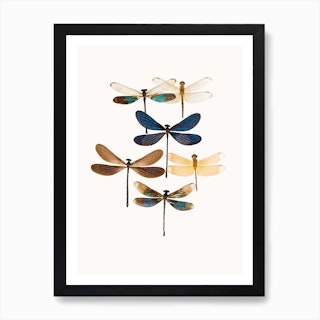Insects X Art Print