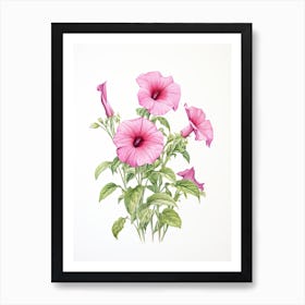 Petunias Flower Vintage Botanical 3 Art Print