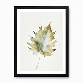 White Oak Leaf Minimalist Watercolour 2 Art Print