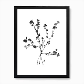 Apple Blossom Flowers Art Print