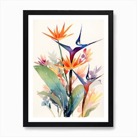 Bird Of Paradise Flower Illustration 1 Art Print