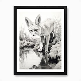 Fennec Fox Finds Water Pencil Drawing 2 Art Print