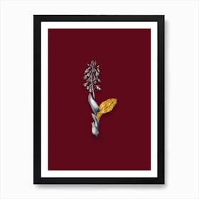 Vintage Brown Widelip Orchid Black and White Gold Leaf Floral Art on Burgundy Red n.0068 Art Print