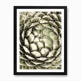 Desert Heart Art Print