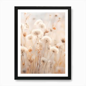 Boho Dried Flowers Scabiosa 3 Art Print