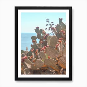 Riviera Cactus Art Print