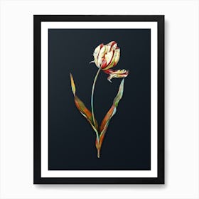 Vintage Didier's Tulip Botanical Watercolor Illustration on Dark Teal Blue n.0261 Art Print