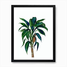 Yucca (Yucca Elephantipes) Watercolor Art Print