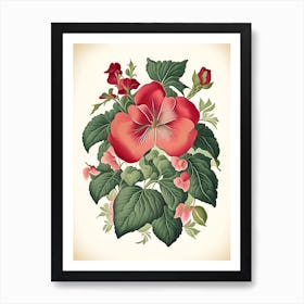 Impatiens 1 Floral Botanical Vintage Poster Flower Art Print