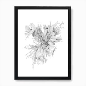 Night Rooster Linear Drawing Art Print