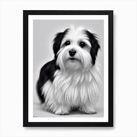 Havanese B&W Pencil Dog Art Print