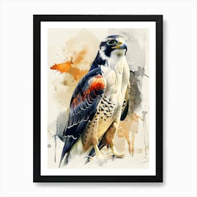 Falcon Art Print