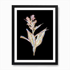 Stained Glass False Helleborine Mosaic Botanical Illustration on Black n.0084 Art Print