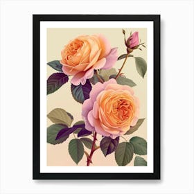 English Roses Painting Rose With Leaves 1 Art Print