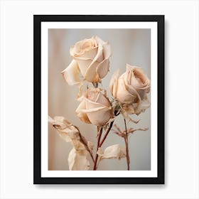 Boho Dried Flowers Rose 9 Art Print