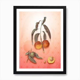 Walnut Peach Vintage Botanical in Peach Fuzz Asanoha Star Pattern n.0059 Art Print