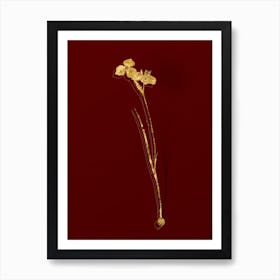 Vintage Vieusseuxia Glaucopis Botanical in Gold on Red n.0418 Art Print