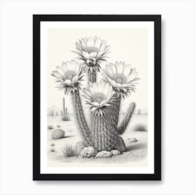 Vintage Cactus Illustration Ferocactus Cactus B&W Art Print