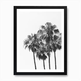 Palm Trees 2 Art Print