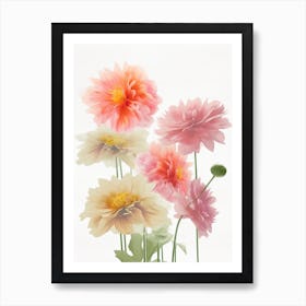 Dahlia Flowers Acrylic Painting In Pastel Colours 6 Art Print