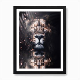 Golden King Lion River Reflection Art Print