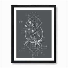 Vintage Common Rose of India Botanical with Line Motif and Dot Pattern in Ghost Gray n.0036 Art Print